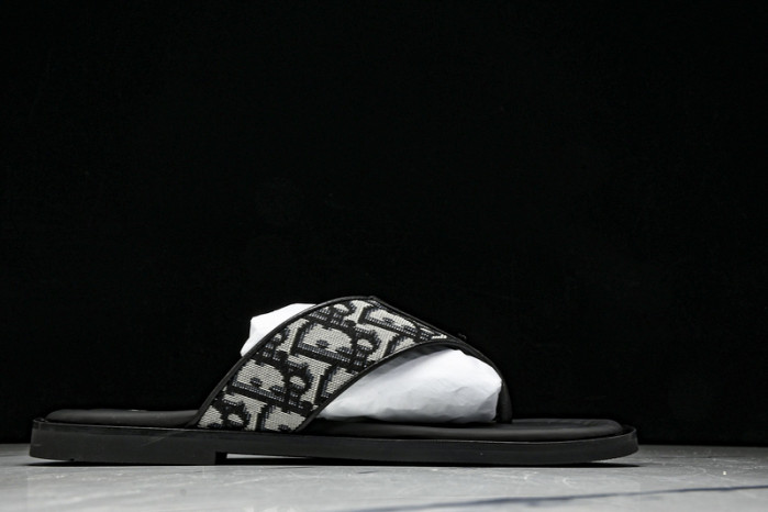 D1R* SLIDE copshoe DR-SLIDE 015