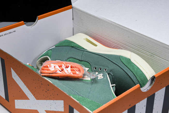 nina Ch*el abney x air jordan 3 fz7974-300